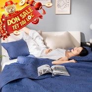 Bộ chăn chần, vỏ gối Microfiber mềm mại, kháng khuẩn Amando Luna 3 chi tiết