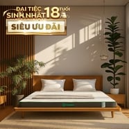 Nệm cao su thiên nhiên Gummi Premium detox giấc ngủ dày 10cm