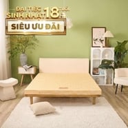 Nệm bông ép Wonjun Pure Carbon kháng khuẩn ưu việt dày 10cm gấp 2