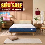Nệm lò xo Dream Spring cách ly chuyển động dày 25cm (hàng xả)