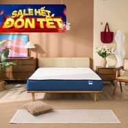 Nệm lò xo Dream Spring cách ly chuyển động dày 25cm (hàng xả)