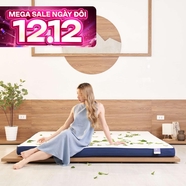 Nệm foam Goodnight Nagoya kháng khuẩn dày 12cm