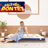 Nệm foam Goodnight Nagoya kháng khuẩn dày 12cm