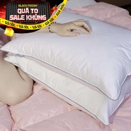 Gối Lông Vũ Giang Sơn Down