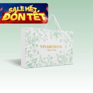 Gối cao su Vinabedding Zenova Kids