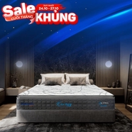 [Mới - Độc quyền] Nệm lò xo song song công nghệ cách ly chuyển động Dunlopillo de.Stress Energy