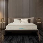 (Xả kho) Nệm lò xo túi độc lập Dunlopillo William dày 29cm