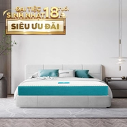 Nệm foam Nhật Bản Aeroflow Fit Plus kháng khuẩn dày 20cm