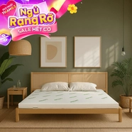 Nệm cao su thiên nhiên Gummi Classic thế hệ mới dày 5/10/15cm