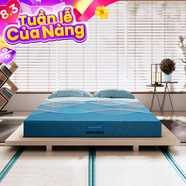 Nệm foam Nhật Bản Aeroflow Pride bảo vệ cột sống dày 22cm