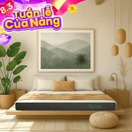 Nệm cao su đa tầng Kim Cương Stella dày 15cm