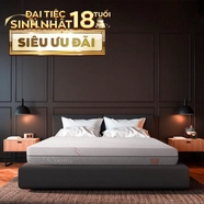 Nệm foam làm mát, kháng khuẩn nâng đỡ 5 vùng Comfy Lux 1.0