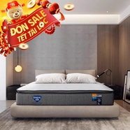 Nệm lò xo Spring Air Back Supporter Firm Plus nâng đỡ làm mát dày 26cm