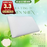 Gối Cao su Dreamland Ovan