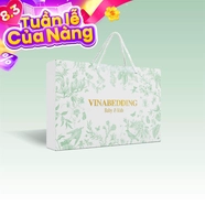 Gối cao su Vinabedding Zenova Kids