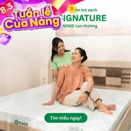 Nệm Gummi Signature – Công nghệ kép, nâng đỡ vượt trội, kháng khuẩn tối đa