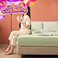 Bộ ga chun Amando Essential Daily