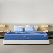 Combo nệm gối foam Amando Pisa 20cm