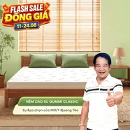 (Quà 8 món) Nệm cao su thiên nhiên Gummi Classic thế hệ mới dày 5/10/15cm