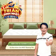 (Quà 8 món) Nệm cao su thiên nhiên Gummi Classic thế hệ mới dày 5/10/15cm