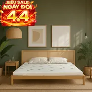 Nệm cao su thiên nhiên Gummi Classic thế hệ mới dày 5/10/15cm