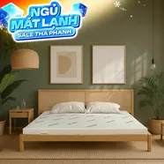 Nệm cao su thiên nhiên Gummi Classic thế hệ mới dày 5/10/15cm