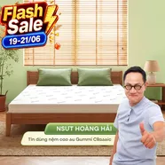 (Giảm 4,5 triệu) Nệm cao su thiên nhiên Gummi Classic thế hệ mới dày 5/10/15cm