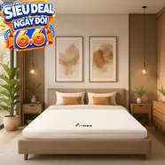 Nệm cao su Gummi 7zones nhập khẩu dày 12cm