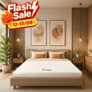 Nệm cao su Gummi 7zones nhập khẩu dày 12cm