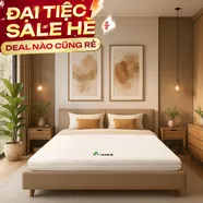 Nệm cao su Gummi 7zones nhập khẩu dày 12cm
