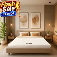 Nệm cao su Gummi 7zones nhập khẩu dày 12cm