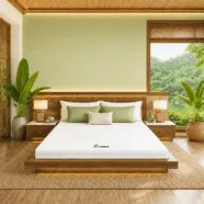 Nệm cao su Gummi 7zones nhập khẩu dày 12cm