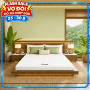 Nệm cao su Gummi 7zones nhập khẩu dày 12cm