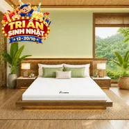 Nệm cao su Gummi 7zones nhập khẩu dày 12cm
