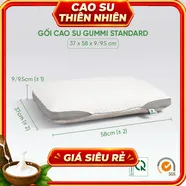Gối cao su Gummi Standard 100% thiên nhiên thoáng khí