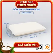Gối cao su Gummi Evora 100% thiên nhiên massage thoáng khí