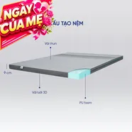 (Hàng xả tồn) Nệm foam Goodnight Osaka