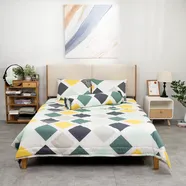 Bộ Ga chun chăn chần AMD Silky 25 màu M30