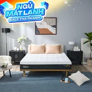 (Phiên bản giới hạn) Nệm Foam Tempur Pro Plus Medium Firm tương thích toàn diện dày 25cm