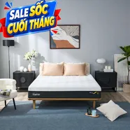 (Phiên bản giới hạn) Nệm Foam Tempur Pro Plus Medium Firm tương thích toàn diện dày 25cm