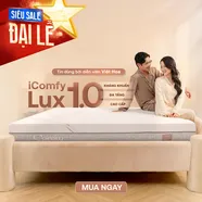 Nệm foam làm mát, kháng khuẩn nâng đỡ 5 vùng Comfy Lux 1.0