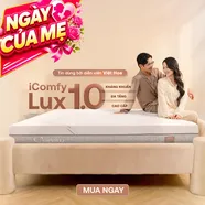 Nệm foam làm mát, kháng khuẩn nâng đỡ 5 vùng Comfy Lux 1.0