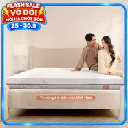 Nệm foam làm mát, kháng khuẩn nâng đỡ 5 vùng Comfy Lux 1.0