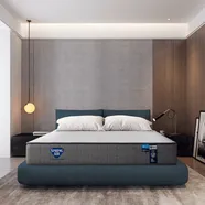 Nệm lò xo Spring Air Back Supporter Firm hỗ trợ nâng đỡ dày 25cm