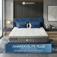 Nệm lò xo túi độc lập Amando Elite Plus ngủ mát, êm sâu dày 25cm
