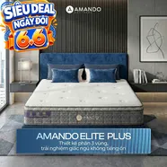 Nệm lò xo túi độc lập Amando Elite Plus ngủ mát, êm sâu dày 25cm