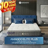 Nệm lò xo túi độc lập Amando Elite Plus ngủ mát, êm sâu dày 25cm