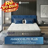 Nệm lò xo túi độc lập Amando Elite Plus ngủ mát, êm sâu dày 25cm