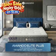 Nệm lò xo túi độc lập Amando Elite Plus ngủ mát, êm sâu dày 25cm