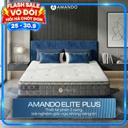 Nệm lò xo túi độc lập Amando Elite Plus ngủ mát, êm sâu dày 25cm